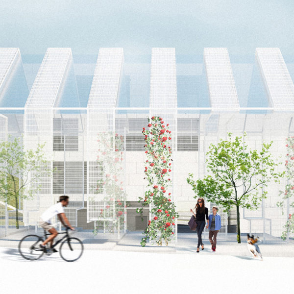 torokbalint_borito torokbalint_borito