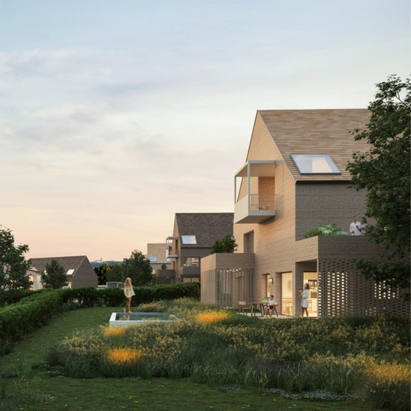 mcxvi_vadvirag_borito mcxvi_vadvirag_borito